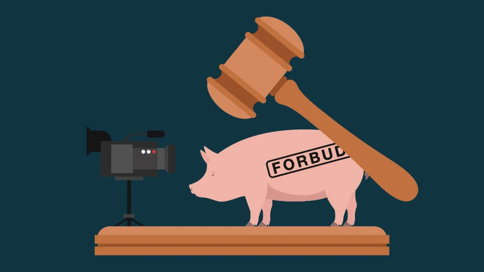 svinestald_optagelser_960x540